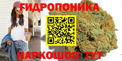 МДПВ Краснодар