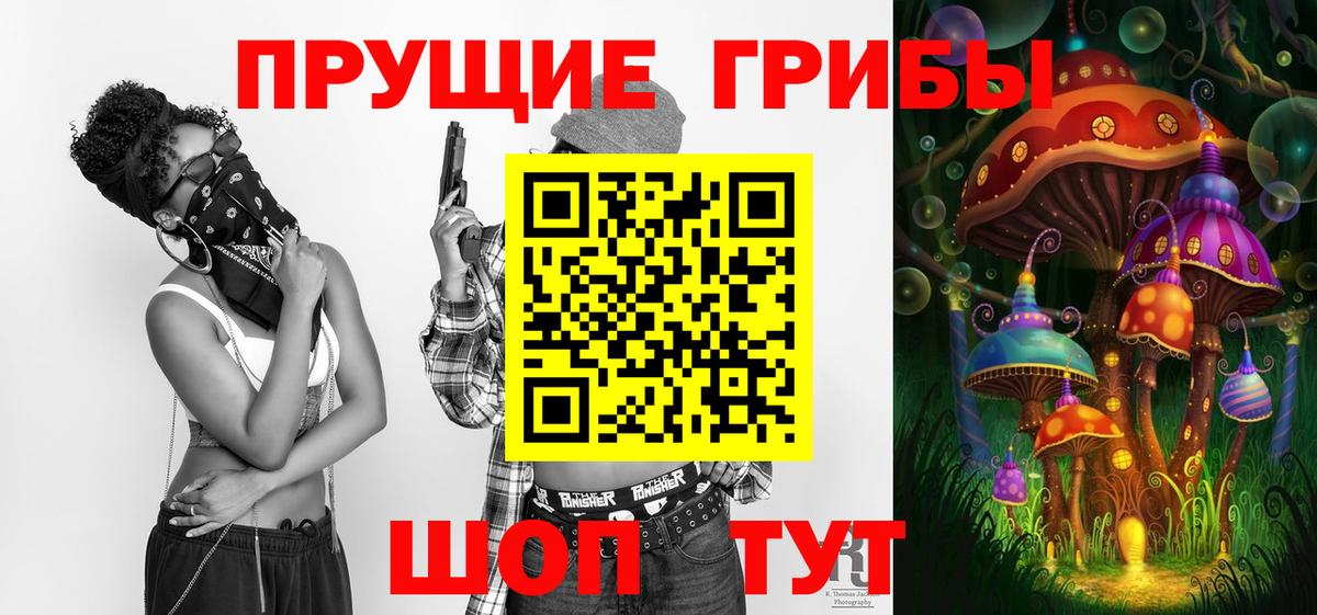 Камышин  Галлюциногенные грибы прущие грибы  Вход с VPN 